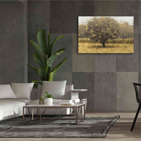Image of Epic Art 'Golden Trees I' by James Wiens, Canvas Wall Art,60 x 40