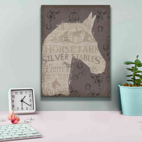 Image of Epic Art 'Equine II' by James Wiens, Canvas Wall Art,12 x 16