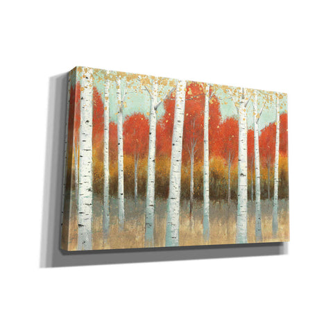 Image of 'Fall Promenade I' by James Wiens, Canvas Wall Art,18x12x1.1x0,26x18x1.1x0,40x26x1.74x0,60x40x1.74x0