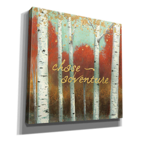 Image of 'Fall Promenade II' by James Wiens, Canvas Wall Art,12x12x1.1x0,18x18x1.1x0,26x26x1.74x0,37x37x1.74x0