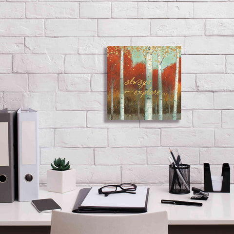 Image of 'Fall Promenade III' by James Wiens, Canvas Wall Art,12 x 12