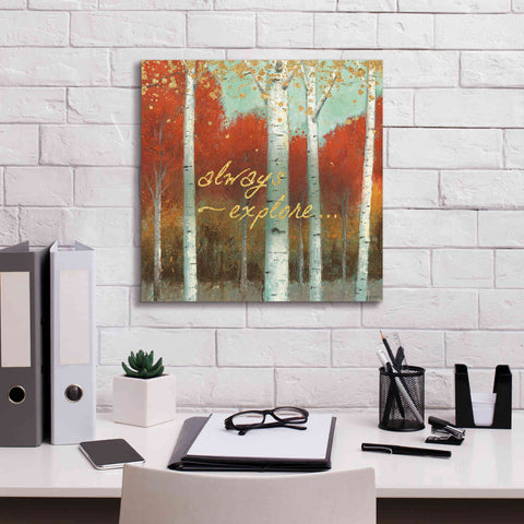 Image of 'Fall Promenade III' by James Wiens, Canvas Wall Art,18 x 18