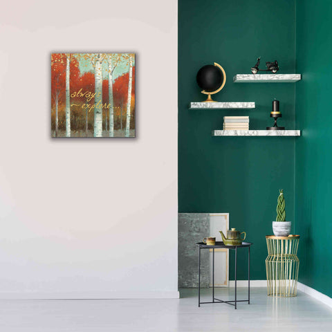 Image of 'Fall Promenade III' by James Wiens, Canvas Wall Art,26 x 26