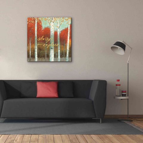 Image of 'Fall Promenade III' by James Wiens, Canvas Wall Art,37 x 37