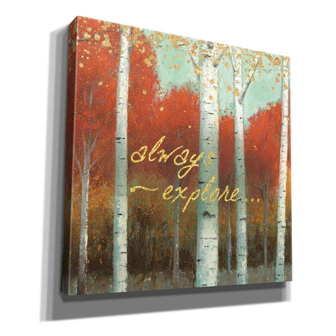 Image of 'Fall Promenade III' by James Wiens, Canvas Wall Art,12x12x1.1x0,18x18x1.1x0,26x26x1.74x0,37x37x1.74x0