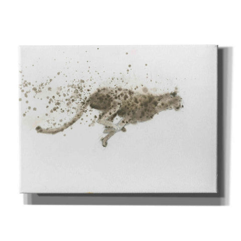 Image of 'Cheetah' by James Wiens, Canvas Wall Art,16x12x1.1x0,26x18x1.1x0,34x26x1.74x0,54x40x1.74x0