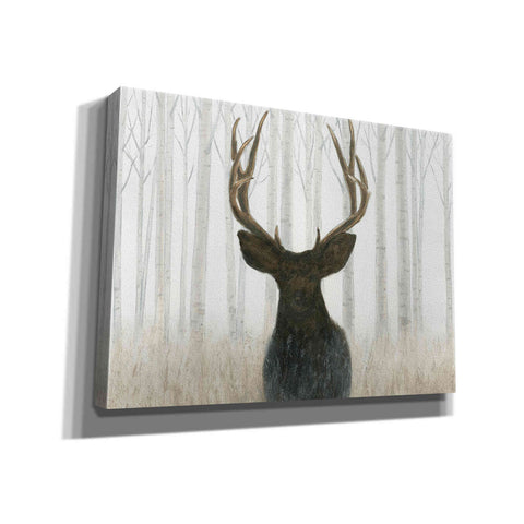 Image of 'Into the Forest' by James Wiens, Canvas Wall Art,16x12x1.1x0,26x18x1.1x0,34x26x1.74x0,54x40x1.74x0
