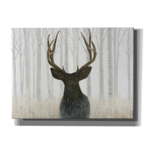 Image of 'Into the Forest' by James Wiens, Canvas Wall Art,16x12x1.1x0,26x18x1.1x0,34x26x1.74x0,54x40x1.74x0