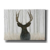 'Into the Forest' by James Wiens, Canvas Wall Art,16x12x1.1x0,26x18x1.1x0,34x26x1.74x0,54x40x1.74x0