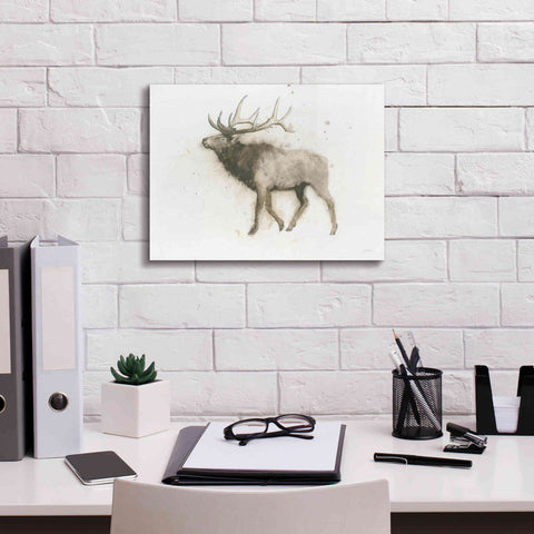 Image of 'Elk' by James Wiens, Canvas Wall Art,16 x 12
