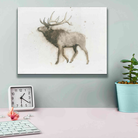 Image of 'Elk' by James Wiens, Canvas Wall Art,16 x 12