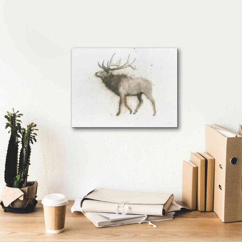 Image of 'Elk' by James Wiens, Canvas Wall Art,16 x 12