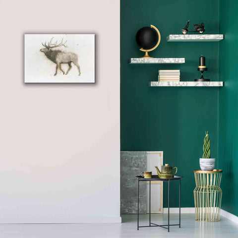 Image of 'Elk' by James Wiens, Canvas Wall Art,26 x 18