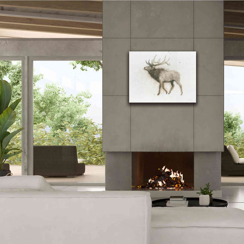 Image of 'Elk' by James Wiens, Canvas Wall Art,34 x 26