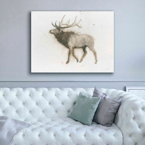 Image of 'Elk' by James Wiens, Canvas Wall Art,54 x 40