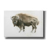 'Buffalo Bill' by James Wiens, Canvas Wall Art,18x12x1.1x0,26x18x1.1x0,40x26x1.74x0,60x40x1.74x0