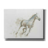 'Stallion I Horizontal' by James Wiens, Canvas Wall Art,16x12x1.1x0,24x20x1.1x0,30x26x1.74x0,54x40x1.74x0