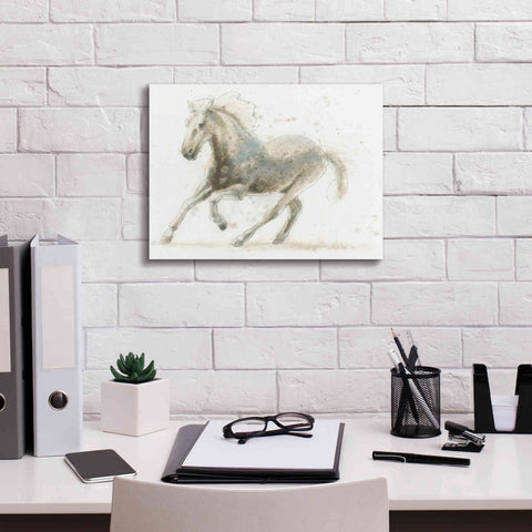 Image of 'Stallion II Horizontal' by James Wiens, Canvas Wall Art,16 x 12