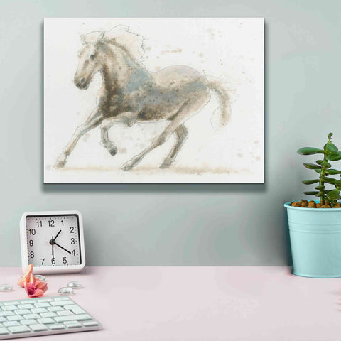 Image of 'Stallion II Horizontal' by James Wiens, Canvas Wall Art,16 x 12