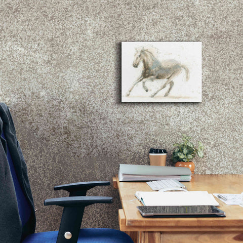 Image of 'Stallion II Horizontal' by James Wiens, Canvas Wall Art,16 x 12