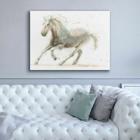 Image of 'Stallion II Horizontal' by James Wiens, Canvas Wall Art,54 x 40