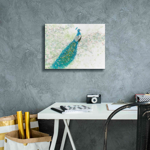 Image of 'Spring Peacock I' by James Wiens, Canvas Wall Art,16 x 12