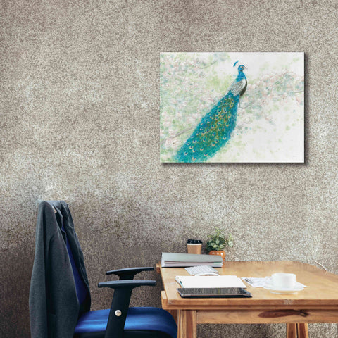 Image of 'Spring Peacock I' by James Wiens, Canvas Wall Art,34 x 26