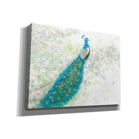 Image of 'Spring Peacock I' by James Wiens, Canvas Wall Art,16x12x1.1x0,26x18x1.1x0,34x26x1.74x0,54x40x1.74x0