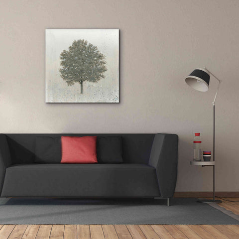 Image of 'Neutrality' by James Wiens, Canvas Wall Art,37 x 37