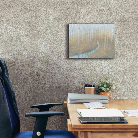 Image of 'Silver Waters' by James Wiens, Canvas Wall Art,16 x 12