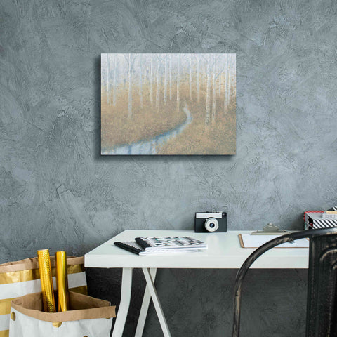 Image of 'Silver Waters' by James Wiens, Canvas Wall Art,16 x 12