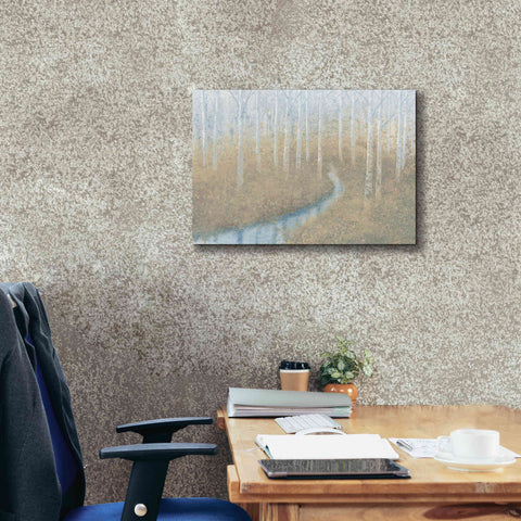 Image of 'Silver Waters' by James Wiens, Canvas Wall Art,26 x 18