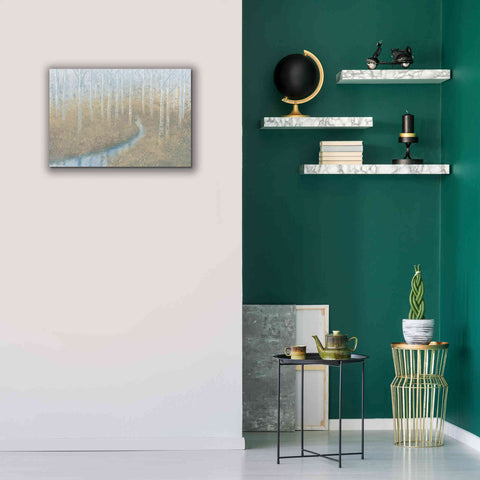 Image of 'Silver Waters' by James Wiens, Canvas Wall Art,26 x 18