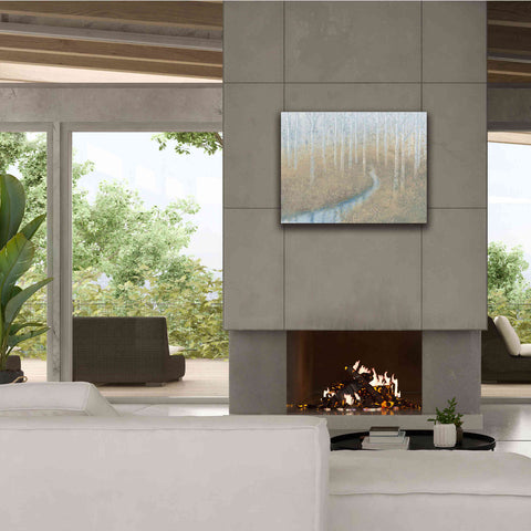 Image of 'Silver Waters' by James Wiens, Canvas Wall Art,34 x 26