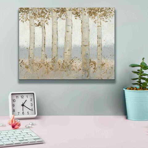 Image of 'Magnificent Birch Grove' by James Wiens, Canvas Wall Art,16 x 12