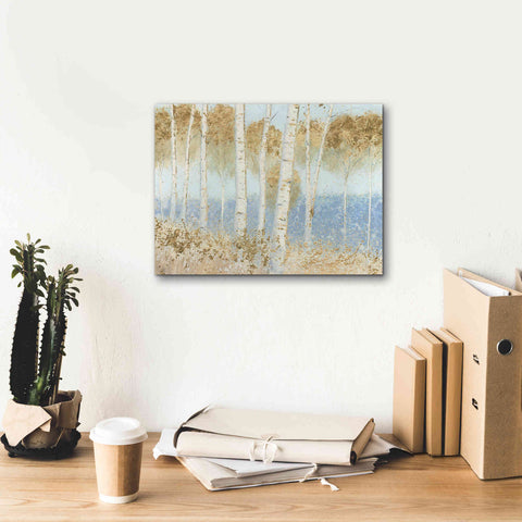 Image of 'Summer Birches' by James Wiens, Canvas Wall Art,16 x 12