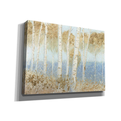 Image of 'Summer Birches' by James Wiens, Canvas Wall Art,16x12x1.1x0,26x18x1.1x0,34x26x1.74x0,54x40x1.74x0