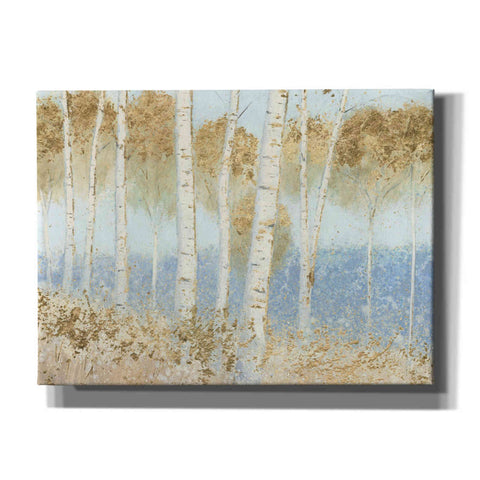 Image of 'Summer Birches' by James Wiens, Canvas Wall Art,16x12x1.1x0,26x18x1.1x0,34x26x1.74x0,54x40x1.74x0