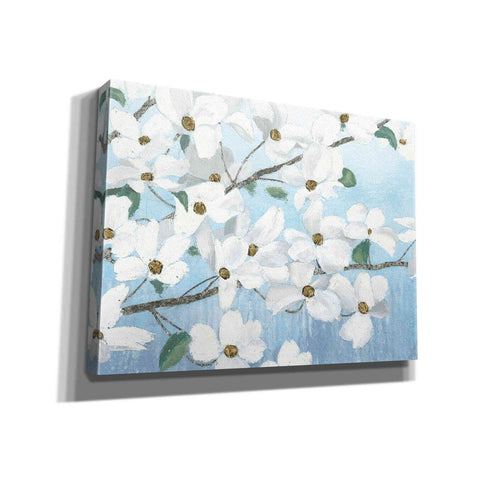 Image of 'Graceful Touch' by James Wiens, Canvas Wall Art,16x12x1.1x0,26x18x1.1x0,34x26x1.74x0,54x40x1.74x0