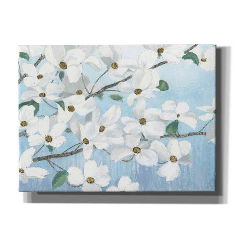 Image of 'Graceful Touch' by James Wiens, Canvas Wall Art,16x12x1.1x0,26x18x1.1x0,34x26x1.74x0,54x40x1.74x0