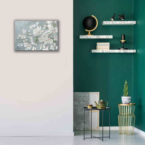 Image of 'Spring Beautiful' by James Wiens, Canvas Wall Art,26 x 18