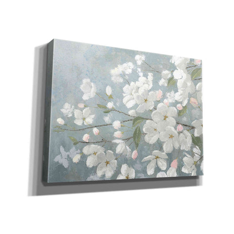 Image of 'Spring Beautiful' by James Wiens, Canvas Wall Art,16x12x1.1x0,26x18x1.1x0,34x26x1.74x0,54x40x1.74x0