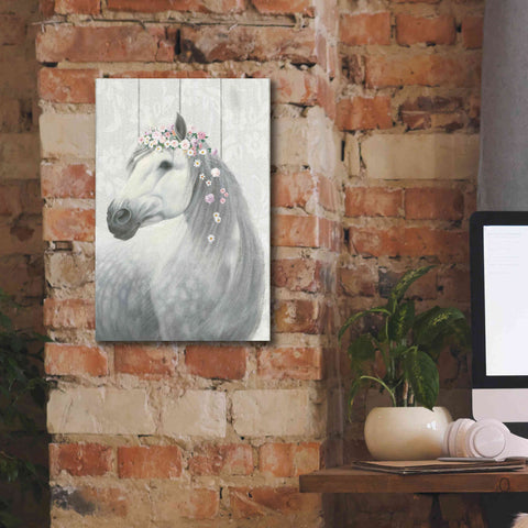 Image of 'Spirit Stallion II on wood' by James Wiens, Canvas Wall Art,12 x 18