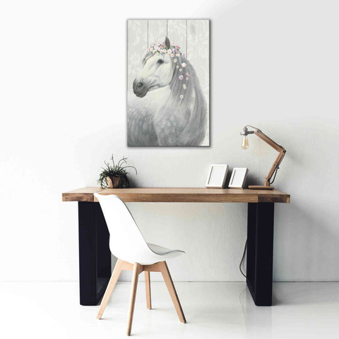 Image of 'Spirit Stallion II on wood' by James Wiens, Canvas Wall Art,26 x 40