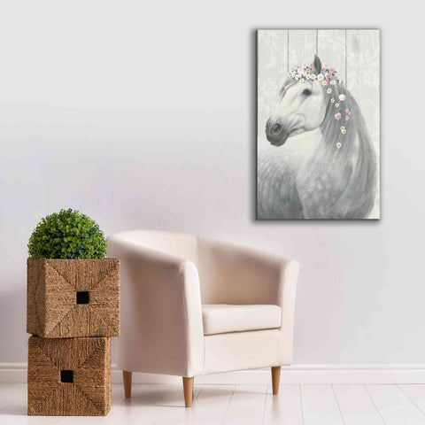 Image of 'Spirit Stallion II on wood' by James Wiens, Canvas Wall Art,26 x 40