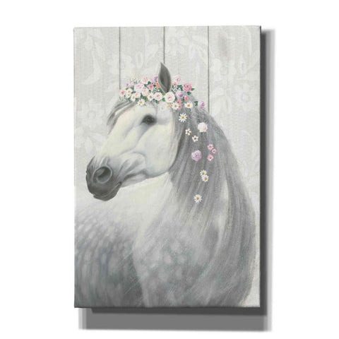 Image of 'Spirit Stallion II on wood' by James Wiens, Canvas Wall Art,12x18x1.1x0,18x26x1.1x0,26x40x1.74x0,40x60x1.74x0