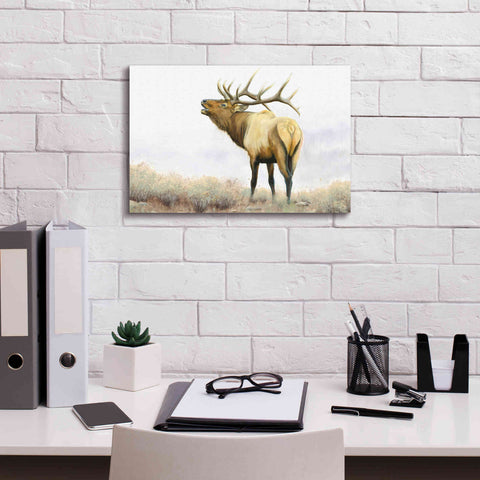 Image of 'Majestic Elk' by James Wiens, Canvas Wall Art,18 x 12