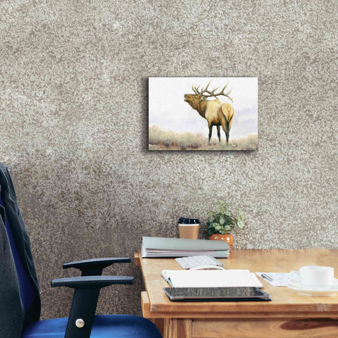 Image of 'Majestic Elk' by James Wiens, Canvas Wall Art,18 x 12