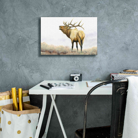 Image of 'Majestic Elk' by James Wiens, Canvas Wall Art,18 x 12