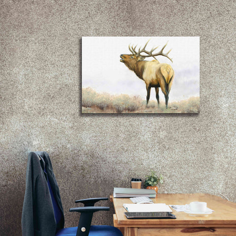 Image of 'Majestic Elk' by James Wiens, Canvas Wall Art,40 x 26
